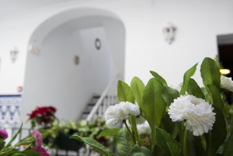 Hostel Triana Backpackers Sevilla Exteriör bild